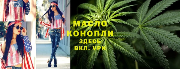 прущие крисы Горняк