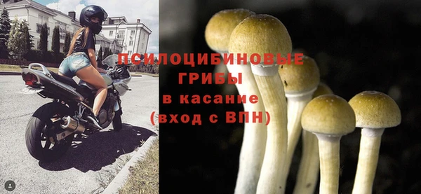 Альфа ПВП Горнозаводск