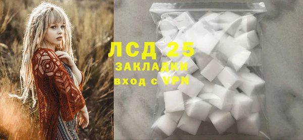 прущие крисы Горняк