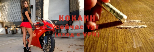 прущие крисы Горняк