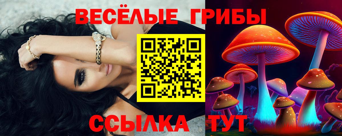 Псилоцибиновые грибы Cubensis  Вход с VPN  Галлюциногенные грибы Magic Shrooms  купить закладку  Можайск 