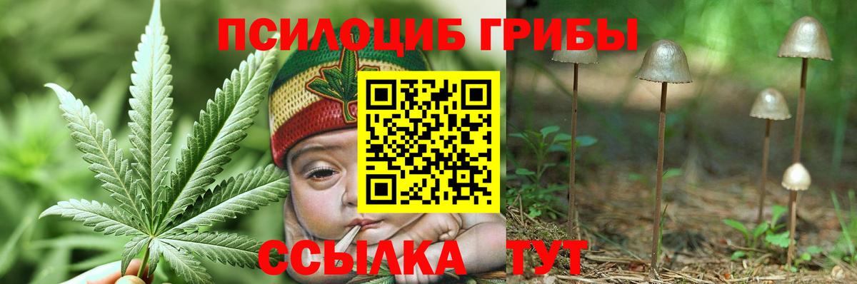 Псилоцибиновые грибы мицелий Можайск